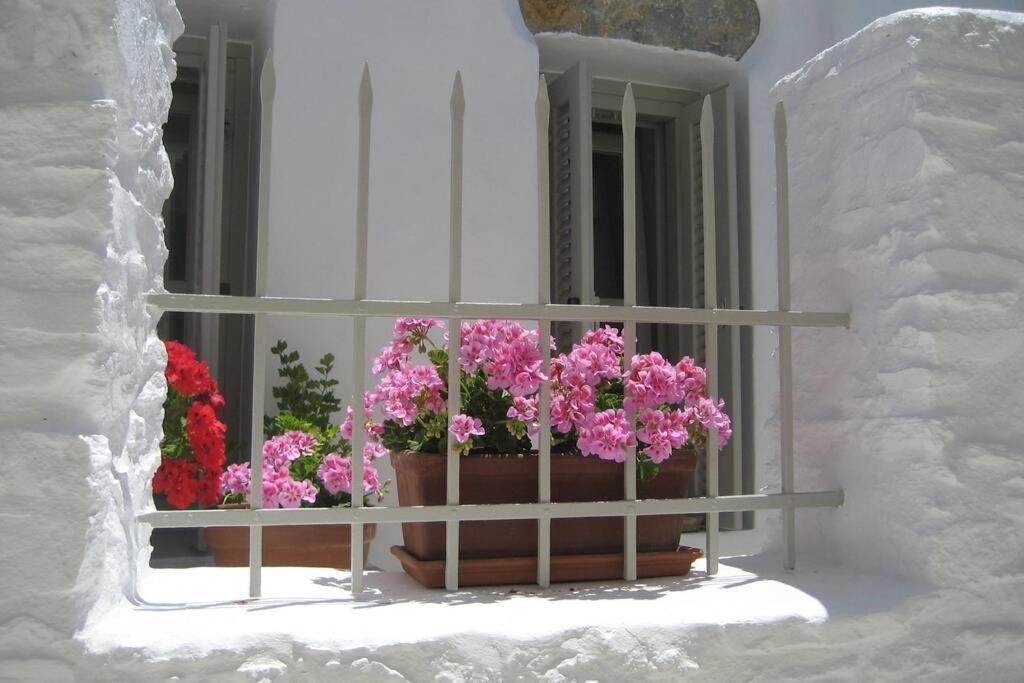 Chora Elegant Traditional House Аморгос Экстерьер фото